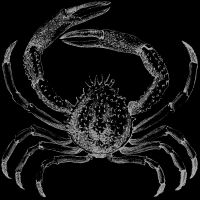 crab